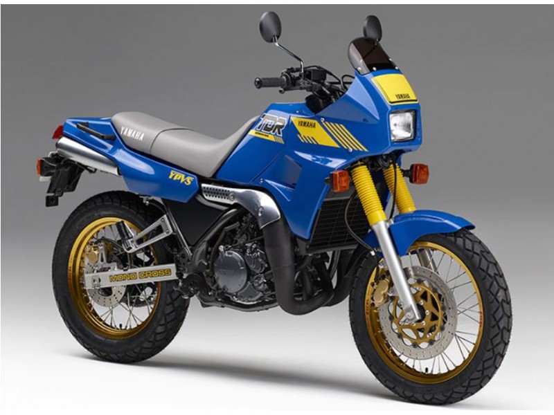 Yamaha TDR 250 - 1988